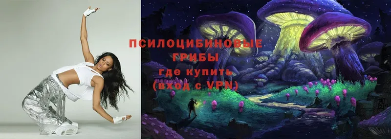 Галлюциногенные грибы Cubensis  Вологда 